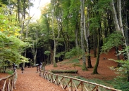 Ristorante vicino alla faggeta dei Monti Cimini